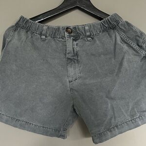 Chubbies Men's Washed 5" Short, S